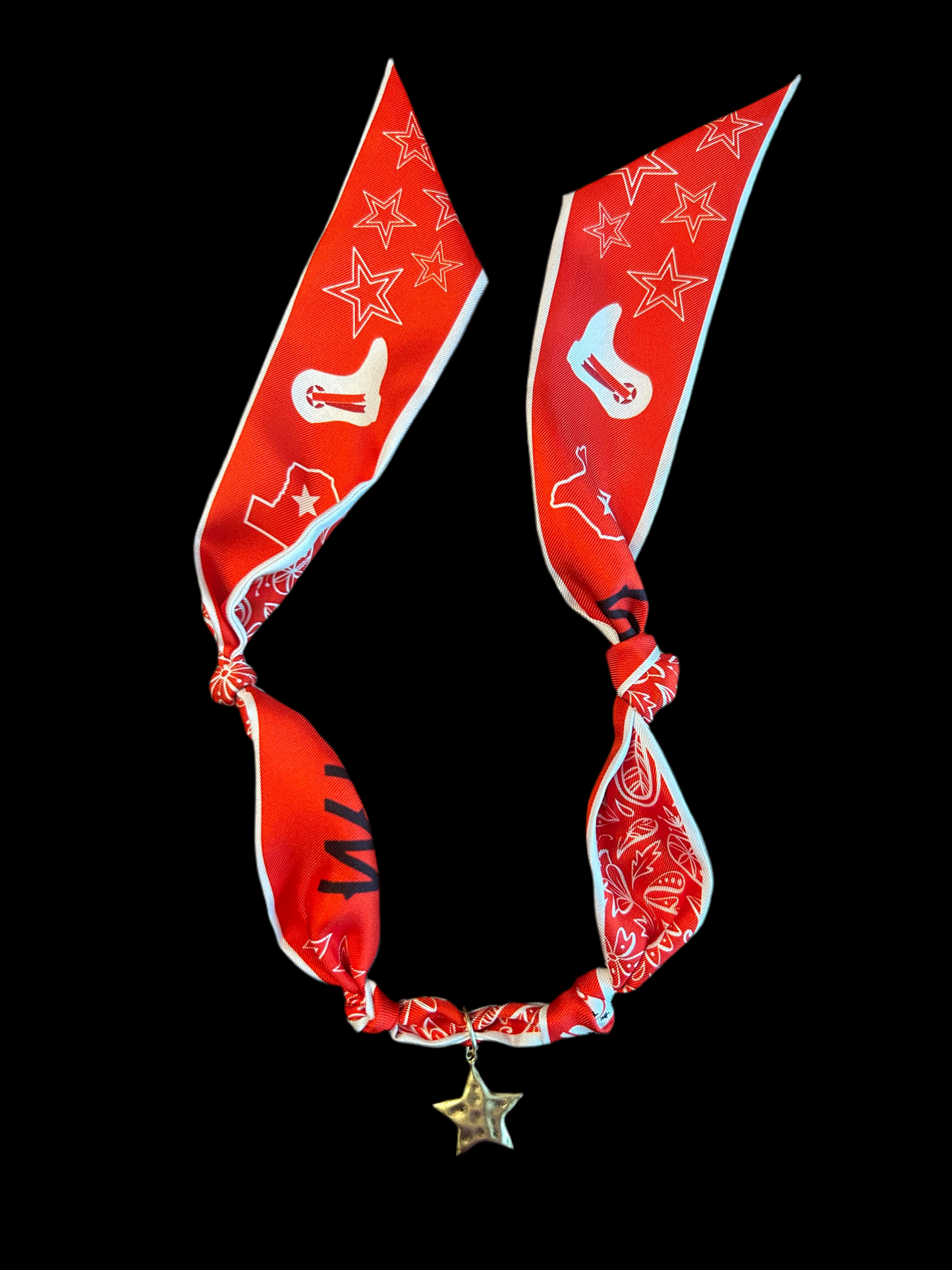 Lake Highlands Wildcat Twilly + Necklace